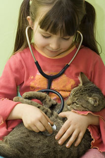 child examining cat