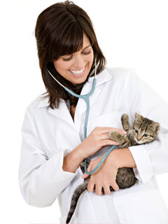 woman with kitten woman with kitten